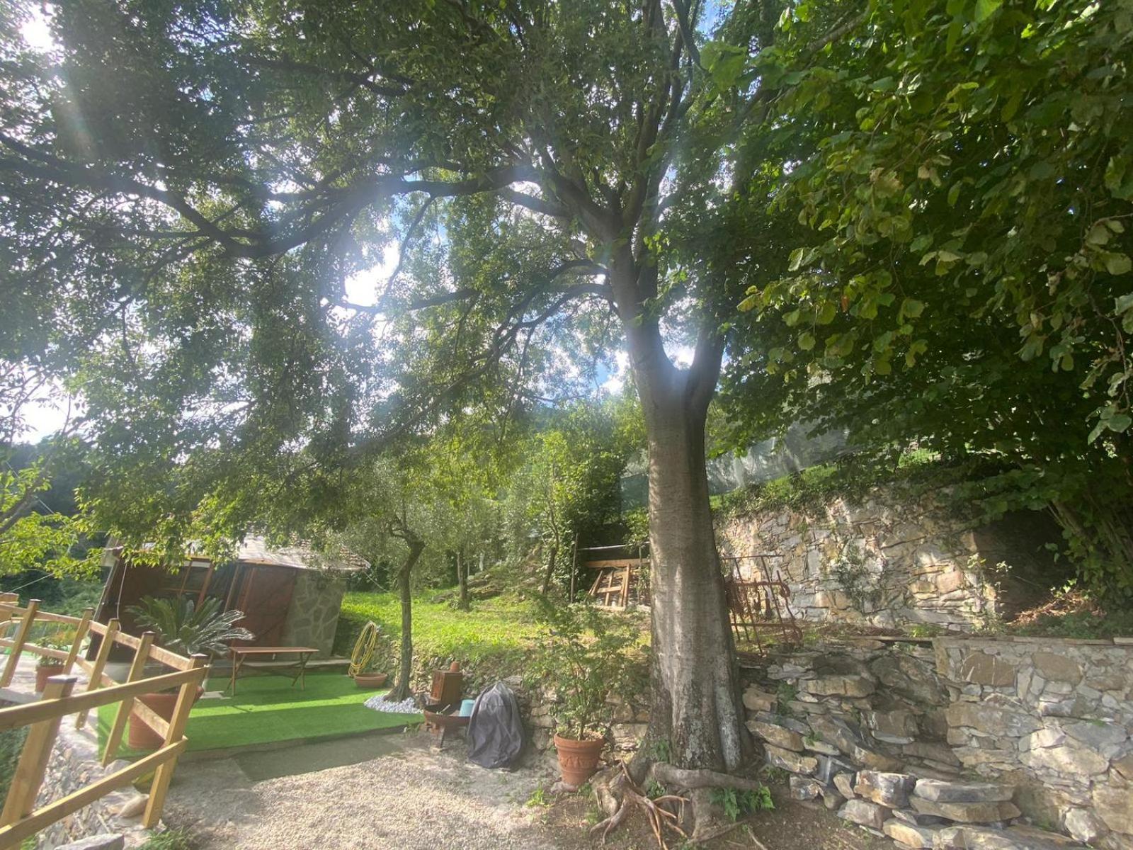La Sosta Al Bagolaro Διαμέρισμα Ραπάλο Εξωτερικό φωτογραφία