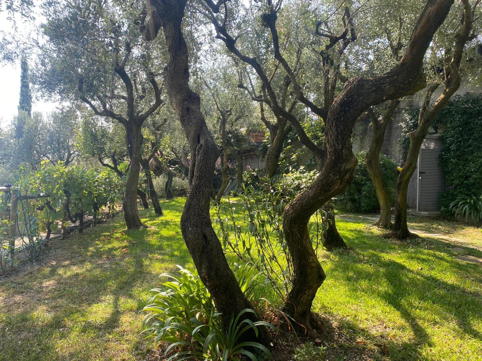 La Sosta Al Bagolaro Διαμέρισμα Ραπάλο Εξωτερικό φωτογραφία